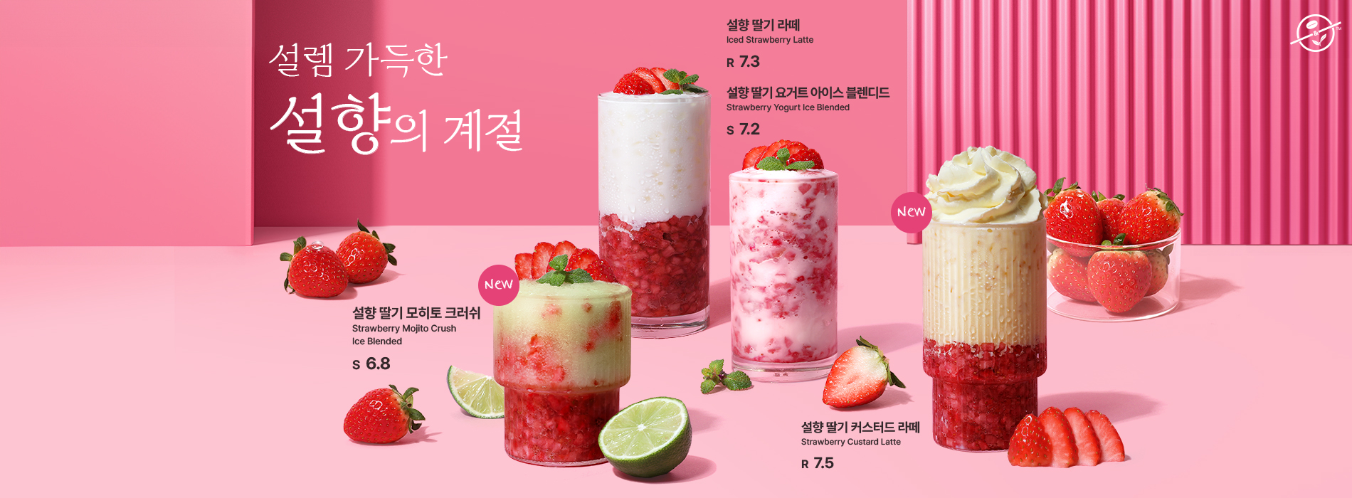 2025 01 설렘 가득한 설향의 계절